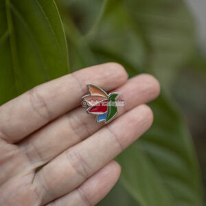 Pin Colibri - Congresso 2019