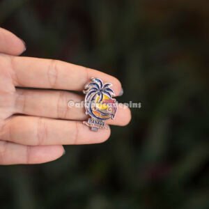 Pin Campanha Manaus Libras 2026 JW